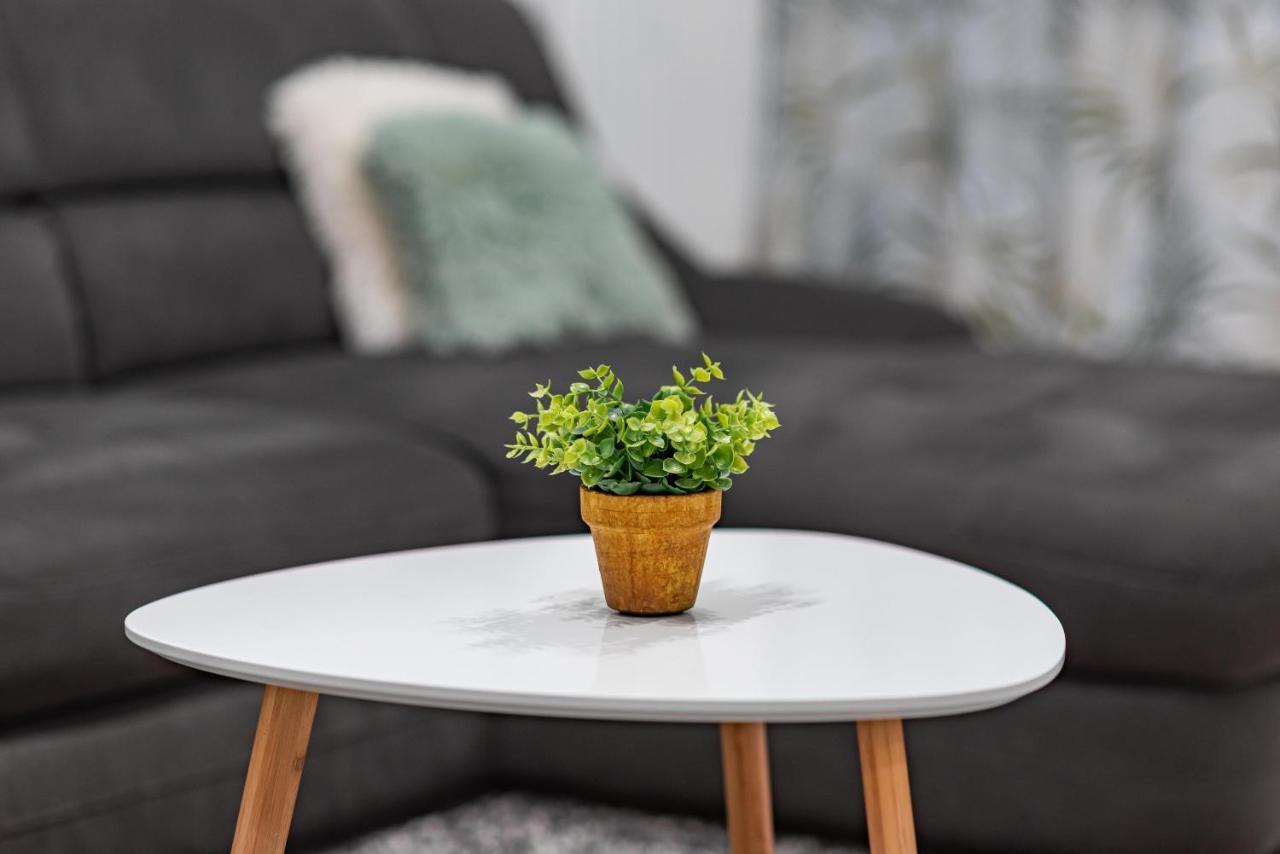 Green Apartment Coresi Brasov Bagian luar foto